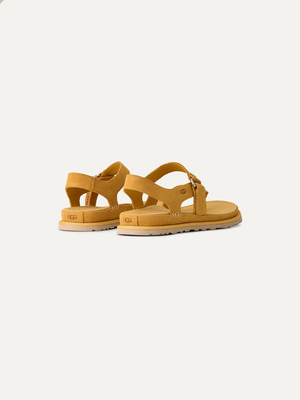 Women's GoldenGaze Toe Post Sandal