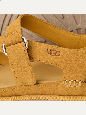 Women's GoldenGaze Toe Post Sandal