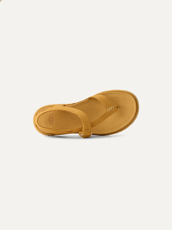 Women's GoldenGaze Toe Post Sandal