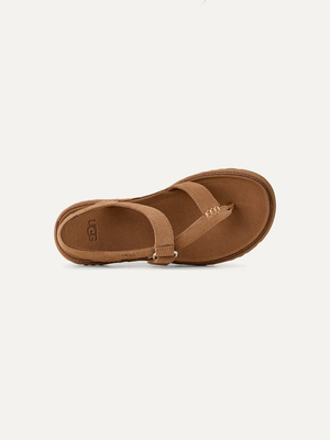 Women's GoldenGaze Toe Post Sandal
